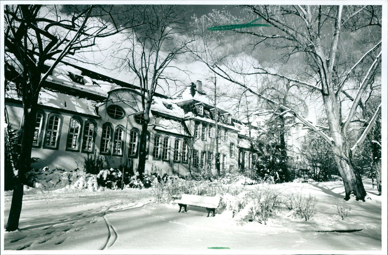 WINTERY FAIRY LANDSCAPE PRESENT YESTERDAY NOT ONLY - Vintage Photograph