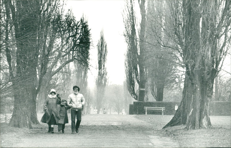 WINTER FNCISTI FFUN ROLABONG CONTINUED - Vintage Photograph