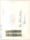 WHIMPERS NIGHT ROMERBE TREE BENCHMARK FILM - Vintage Photograph