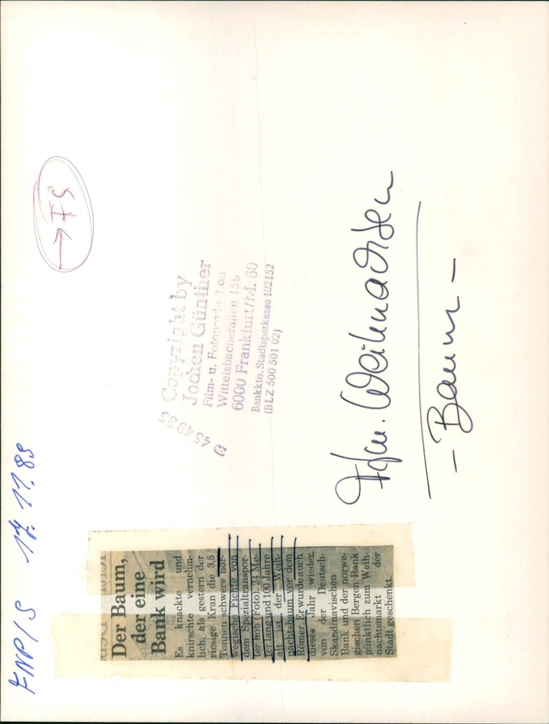 WHIMPERS NIGHT ROMERBE TREE BENCHMARK FILM - Vintage Photograph