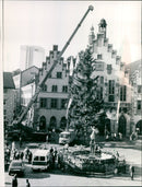 WHIMPERS NIGHT ROMERBE TREE BENCHMARK FILM - Vintage Photograph