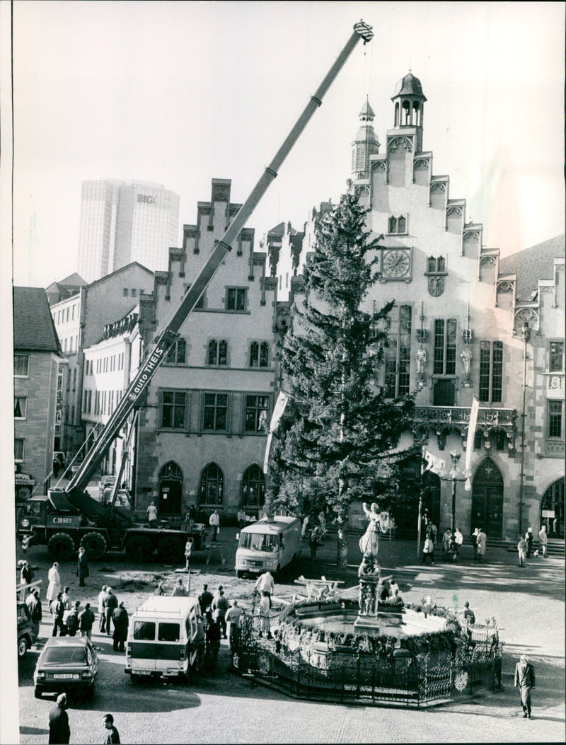 WHIMPERS NIGHT ROMERBE TREE BENCHMARK FILM - Vintage Photograph