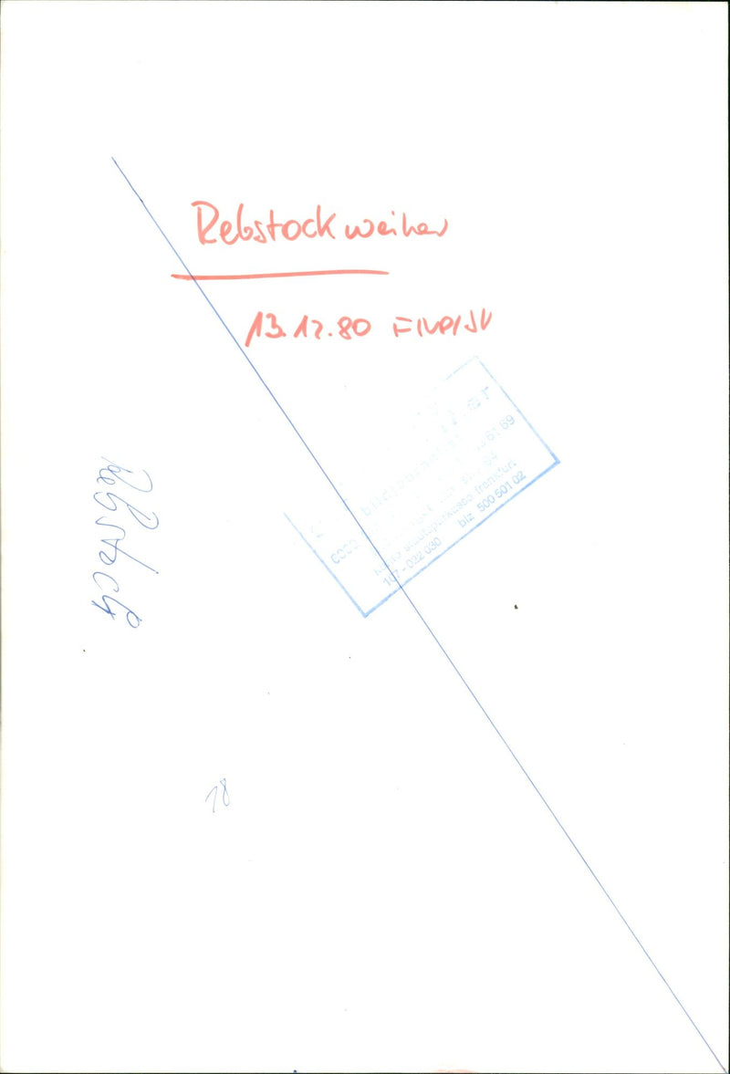 CONTINUES REBTOCH REBSTOCK EVER BIZ - Vintage Photograph