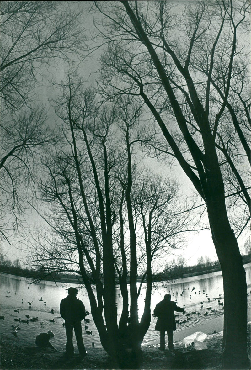 CONTINUES REBTOCH REBSTOCK EVER BIZ - Vintage Photograph