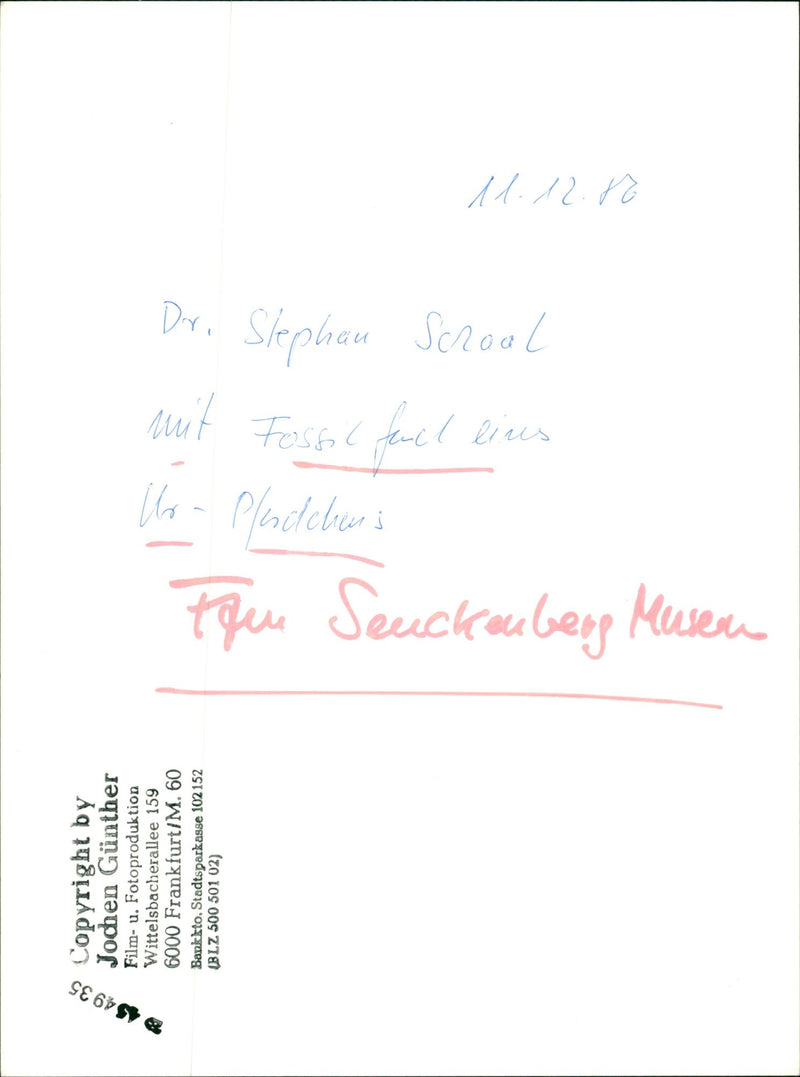 MUSEUMS SENCKENBE BUILDINGS INSIDE EMPLOYED PRAYING FILM - Vintage Photograph