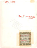 1989 NUSEEN MUSEUMSUFERFEST TRICKS EVERYWHERE FUPIS FILM MICHAEL - Vintage Photograph