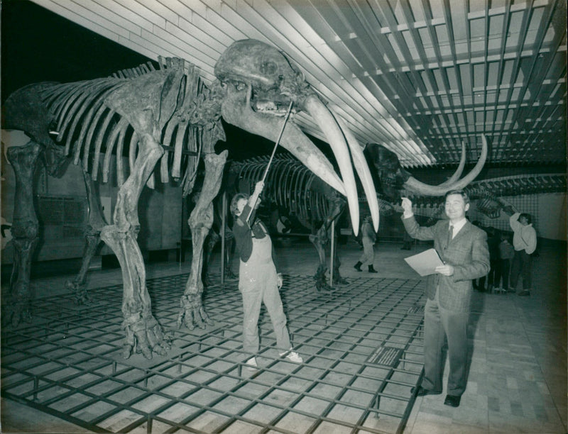 MUSEUMS SENCKENBE BUILDINGS INSIDE EMPLOYED PRAYING FILM - Vintage Photograph