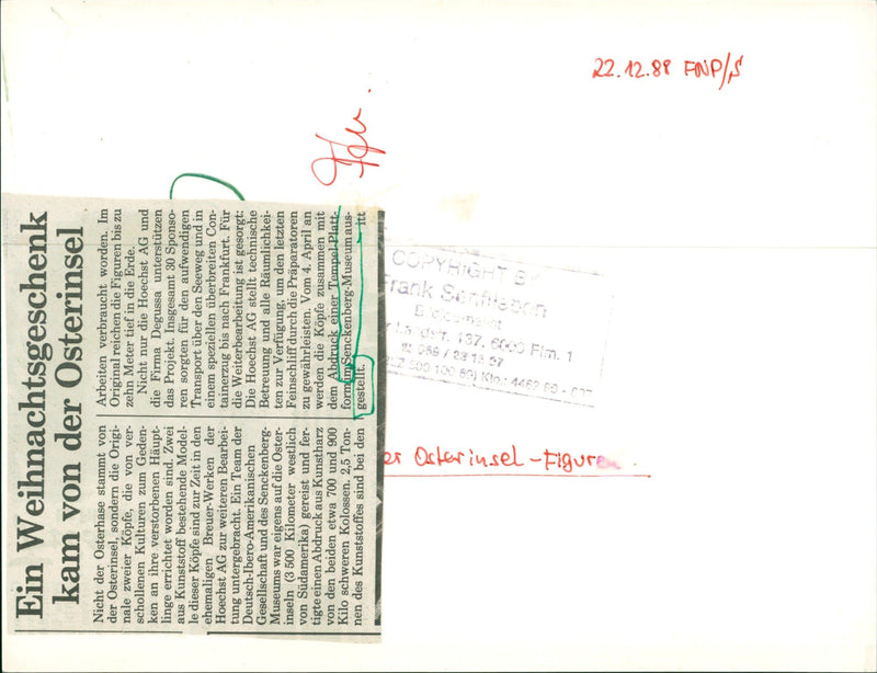 1988 MUSEUMS SENCKENB BUILDINGS INSIDE EMPLOYED PRAYING SKELETONS CANOE BES MODEL - Vintage Photograph