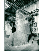 1988 MUSEUMS SENCKENB BUILDINGS INSIDE EMPLOYED PRAYING SKELETONS CANOE BES MODEL - Vintage Photograph