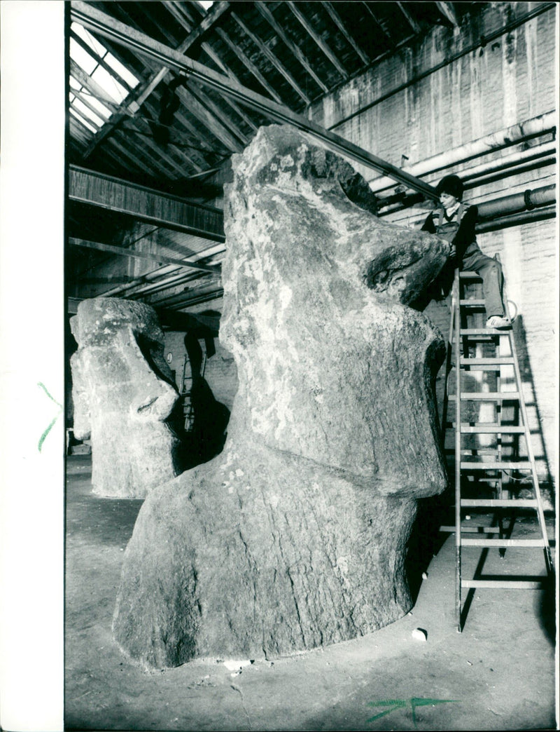 1988 MUSEUMS SENCKENB BUILDINGS INSIDE EMPLOYED PRAYING SKELETONS CANOE BES MODEL - Vintage Photograph