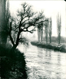 NIDDA FISSILE ICE OCLOCK MADE RELEASED ISSUE SIGNATURE - Vintage Photograph