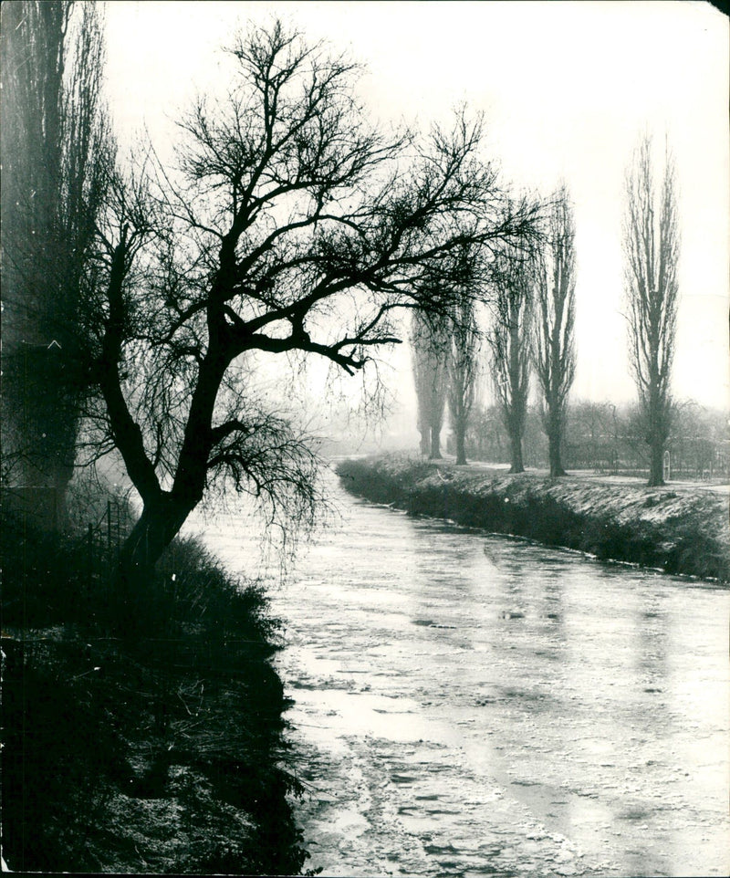 NIDDA FISSILE ICE OCLOCK MADE RELEASED ISSUE SIGNATURE - Vintage Photograph