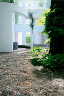 MUSEUMS KUNS SEBAUDE AUER MODELS STONE FRANKFURT FUR GARDEN OPEN - Vintage Photograph