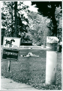 1996 MUSEUMS KUNS SEBAUDE AUER MODELS RER UBER PARK SACHSENHA OPEN BAND - Vintage Photograph