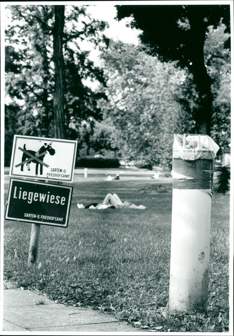 1996 MUSEUMS KUNS SEBAUDE AUER MODELS RER UBER PARK SACHSENHA OPEN BAND - Vintage Photograph