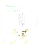 MUSEUMS KUNS SEBAUDE AUER MODELS MUSEUM PARK FUPEJO - Vintage Photograph