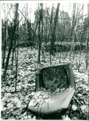 MUSEUMS KUNS SEBAUDE AUER MODELS MUSEUM PARK FUPEJO - Vintage Photograph