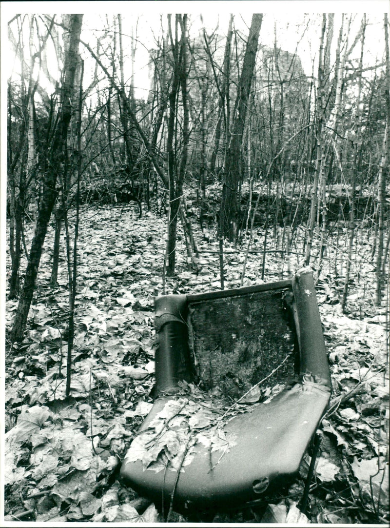 MUSEUMS KUNS SEBAUDE AUER MODELS MUSEUM PARK FUPEJO - Vintage Photograph