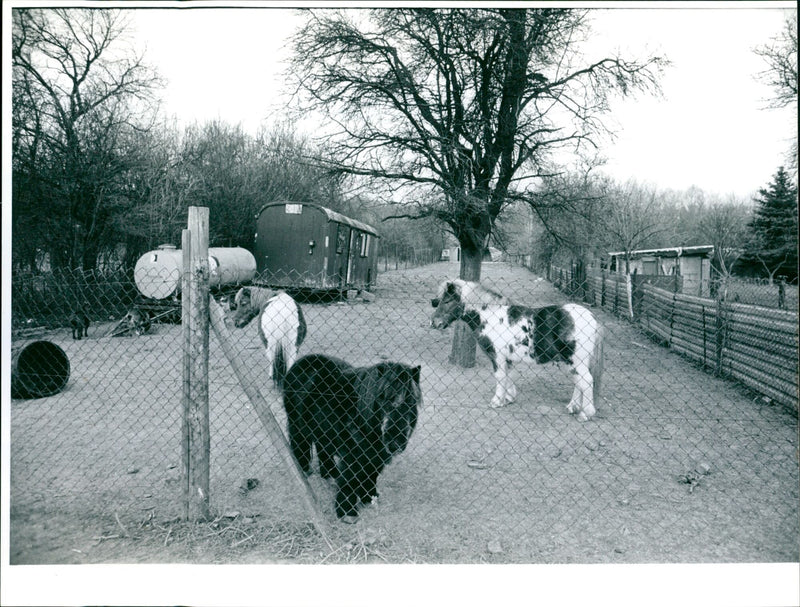 DIFFERENT RIED IDU TURRET PROTECTED AREAS REST - Vintage Photograph