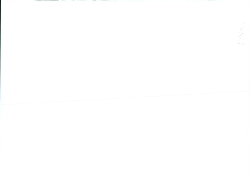 1975 TURTURAL PROTECTION MICHAEL AND OLAF HOMELER ROAM NATURE RESERVE TIM - Vintage Photograph