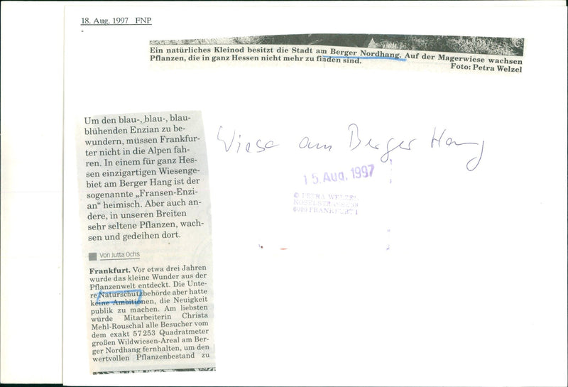 1997 NATURE RESERVES MOUNTAINS HANG MAGERWIE PLANTS WHICH ARE - Vintage Photograph