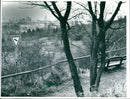 RESERVES MOUNTAINS HANG NATURE RESERVE BERGER HAR HESSE VISITE - Vintage Photograph