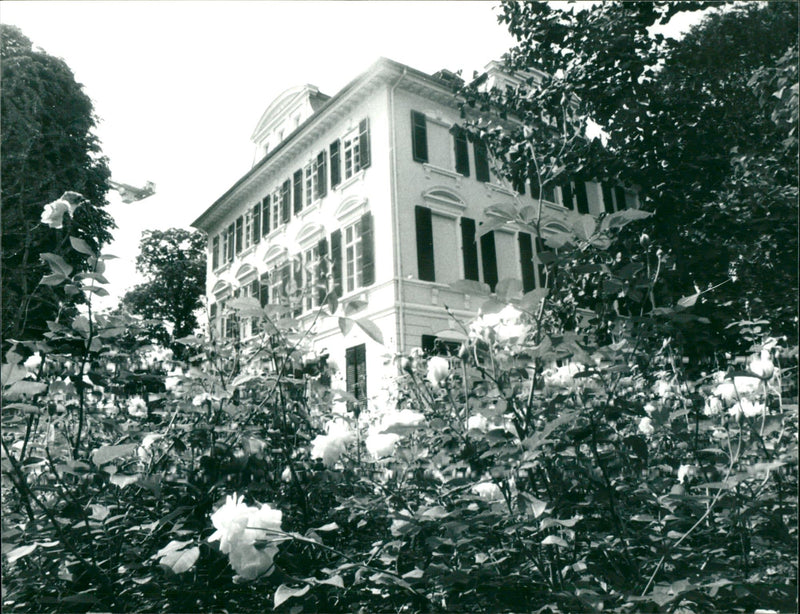 MUSEUMS KUNS SEBAUDE AUER MODELS FRANKFURT BLZ BFG AND KTO BANK - Vintage Photograph