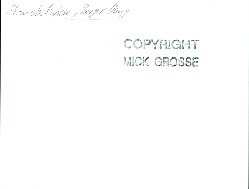 FFM NATURE RESERVES MOUNTAINS HANGOUT RES MICK - Vintage Photograph