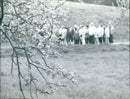 FFM NATURE RESERVES MOUNTAINS HANGOUT RES MICK - Vintage Photograph