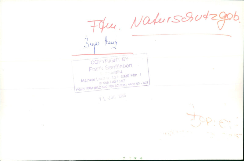 1980 NATURE RESERVES MOUNTAINS THESE NATURSCHU BUGS THANG COP - Vintage Photograph