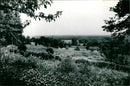 1980 NATURE RESERVES MOUNTAINS THESE NATURSCHU BUGS THANG COP - Vintage Photograph
