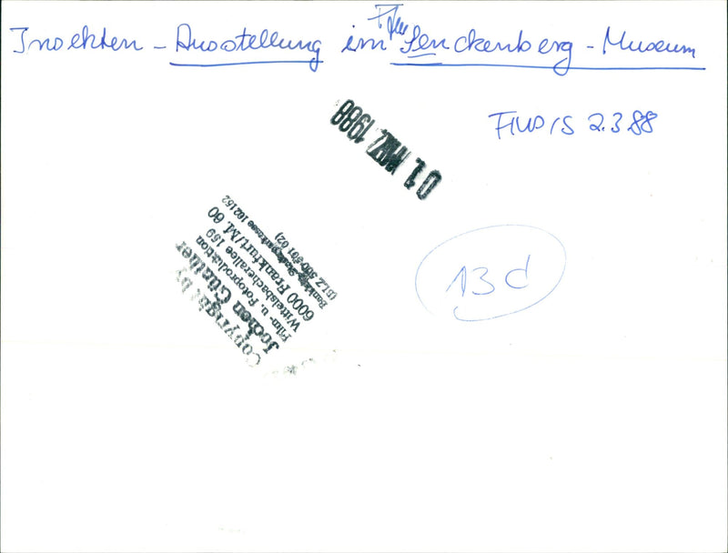 SCHOOL SENCKENBER NDERIM SENCKENBERG NCKENBERG FILM - Vintage Photograph