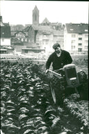 OBERRAC FEUILLITEN HIGH FRANKFURT ROKALES PAGE MIXED SCHAU SIGNATURE - Vintage Photograph