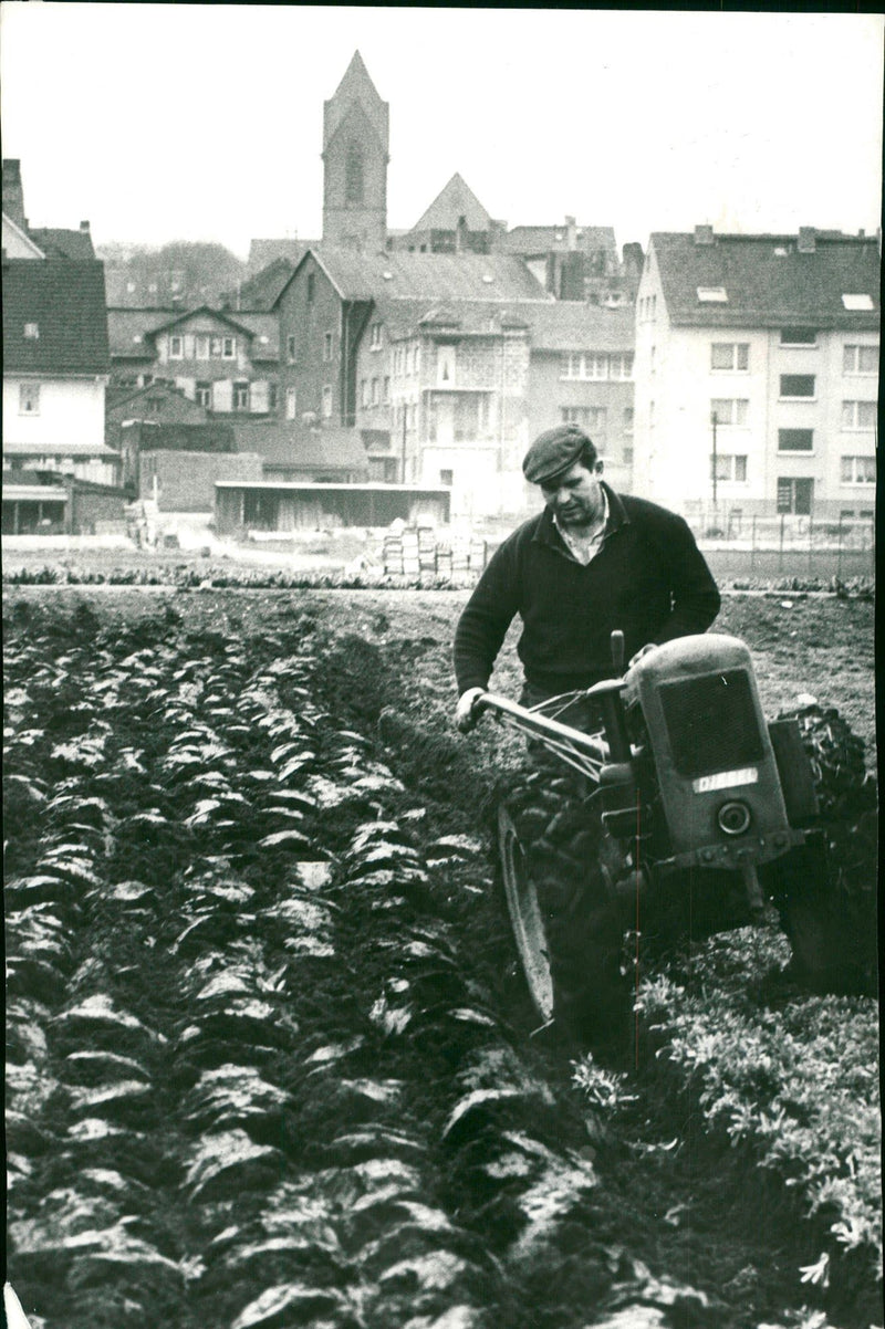 OBERRAC FEUILLITEN HIGH FRANKFURT ROKALES PAGE MIXED SCHAU SIGNATURE - Vintage Photograph