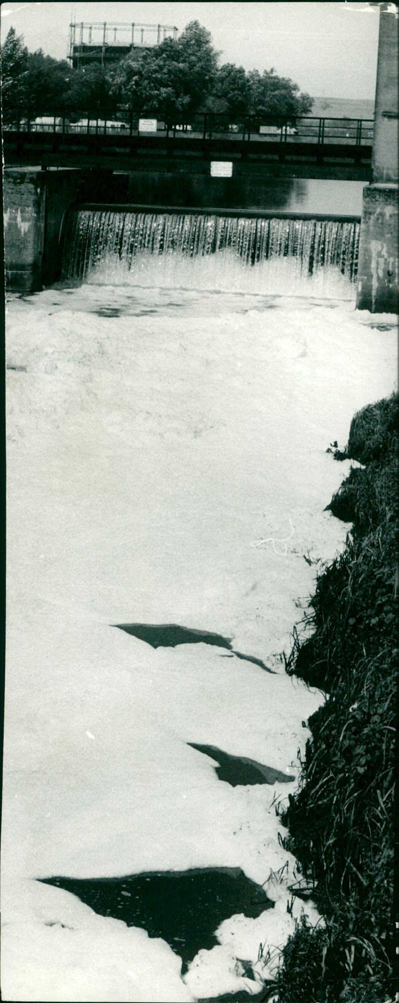 NIDDA MIDDA IMAGE MOTIF CLOCK MADE ISSUE SIGNATURE - Vintage Photograph