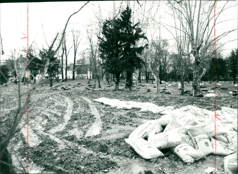 1980 MUSEUMS KUNS SEBAUDE AUER MODELS UNDERGROWTH HAS ALREADY - Vintage Photograph