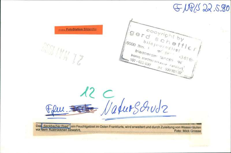 TURRET PROTECTED AREAS DIFFERENT SECKBACHER RIED WETLAND - Vintage Photograph