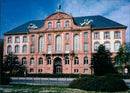 USES BUILDINGS NATURE MUSEUM SENCKENBERG SENCKENBERGANLA - Vintage Photograph