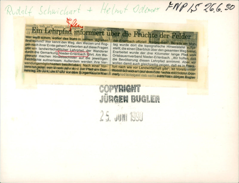 1990 NIEDER ERLENBACH AGRICULTURAL NATURE TRAIL NETHER - Vintage Photograph