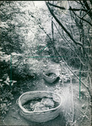 1987 TURRET PROTECTED AREAS DIFFERENT BERGEN ENKHEIM NATURE RES - Vintage Photograph