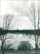 1985 TURTURAL PROTECTION QUIET WATER FLAT POPULAR NATURE RESERVE NOT - Vintage Photograph