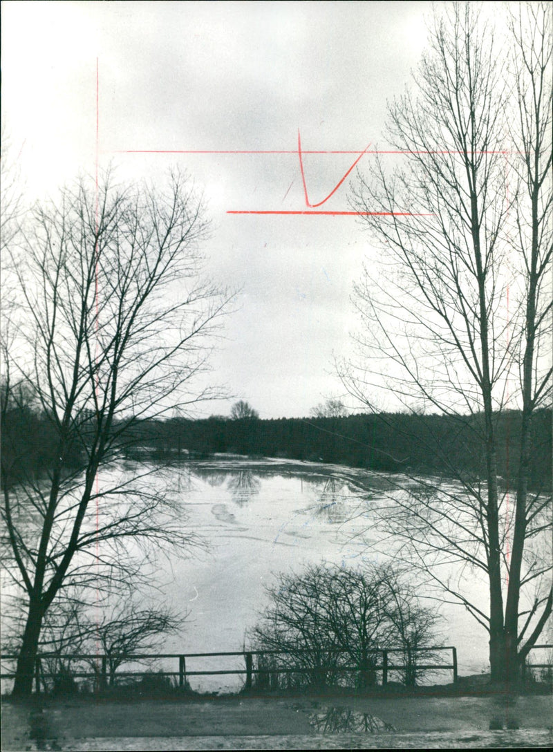 1985 TURTURAL PROTECTION QUIET WATER FLAT POPULAR NATURE RESERVE NOT - Vintage Photograph