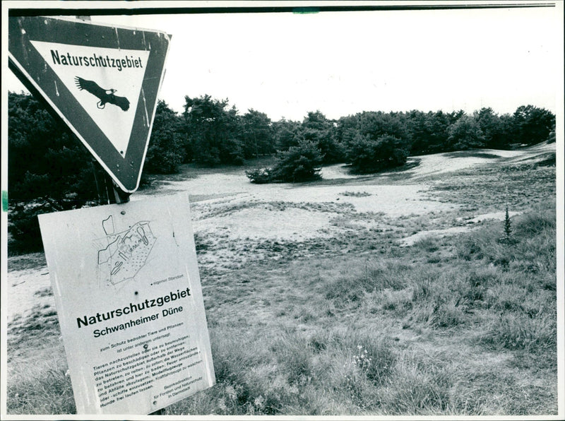 1988 PROTECTION FURTHER STANDON NATURE RESERVE SCHWANHEI MODEL - Vintage Photograph