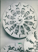 1989 MUSEUMS FILMMUSEUM BUILDING INSIDE HUSSTELLUNGEN LATERNA - Vintage Photograph