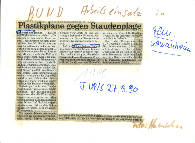 1980 PROTECTION FURTHER SWANHEIMER DUNEN NATURE RESERVE GREEN KNO - Vintage Photograph