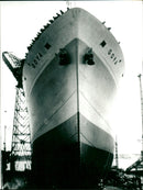 1993 RIEG FILM AMONG OTHERS UNPUBLISHED ENTARFILMS STRICTLY SECR - Vintage Photograph