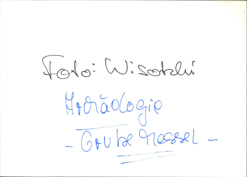 MESSEL FILM DIRECTED DEUTSCHLA BASED WISOKLI - Vintage Photograph