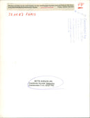 1987 BRIGHT BOX CLEARLY VISIBLE LEGGED FILM - Vintage Photograph