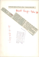 1989 OVER WHOLE OLD DESCHL BUGS FFENISS GEN ZIERFLUME WHICH FILM - Vintage Photograph