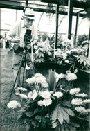 1989 OVER WHOLE OLD DESCHL BUGS FFENISS GEN ZIERFLUME WHICH FILM - Vintage Photograph